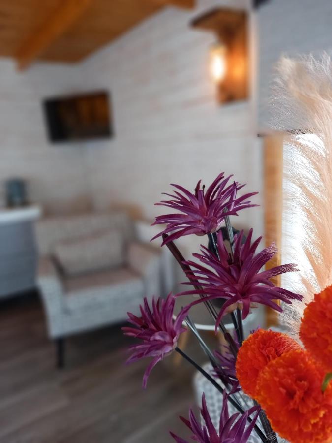 Sandy Toes Accommodation بار المظهر الخارجي الصورة